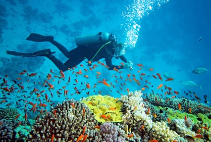 Discover Andaman